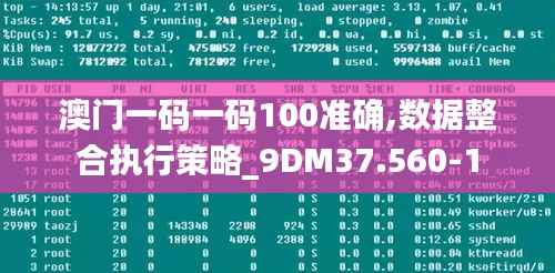 澳门一码一码100准确,数据整合执行策略_9DM37.560-1