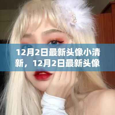 12月最新小清新头像,冬日温暖中的清新之美
