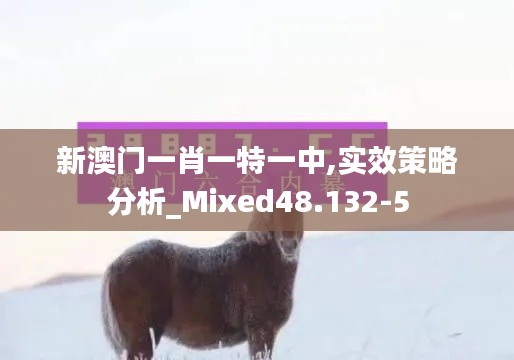 新澳门一肖一特一中,实效策略分析_Mixed48.132-5