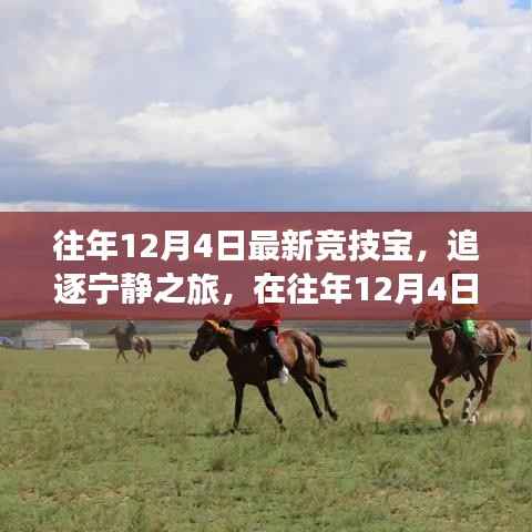 往年12月4日最新竞技宝，追逐宁静之旅，探寻内心的山水乐园