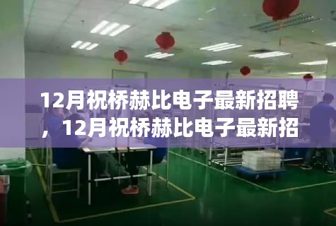 12月祝桥赫比电子最新招聘启事