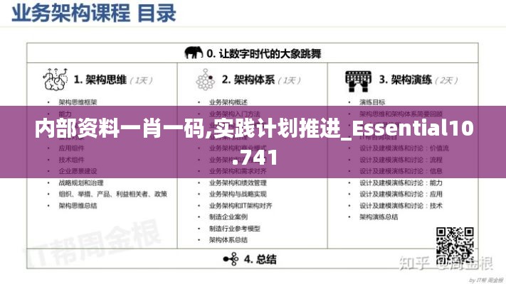 内部资料一肖一码,实践计划推进_Essential10.741