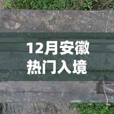 安徽秘境探幽,巷弄深处的独特风味与隐藏小店揭秘