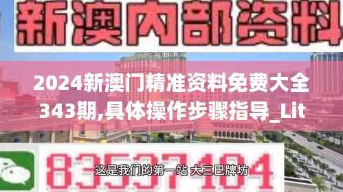2024新澳门精准资料免费大全343期,具体操作步骤指导_Lite9.285