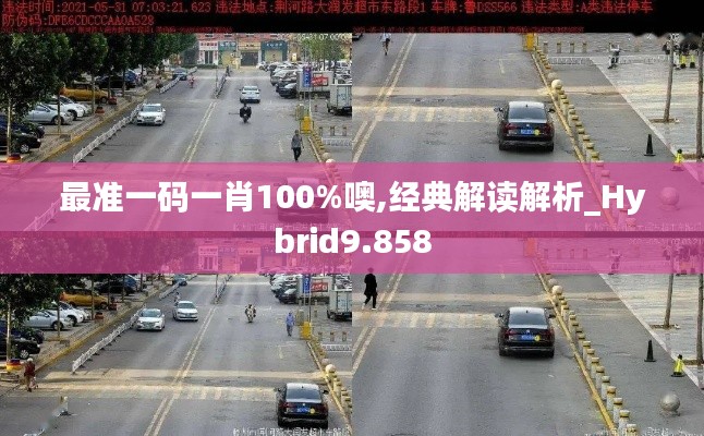 最准一码一肖100%噢,经典解读解析_Hybrid9.858