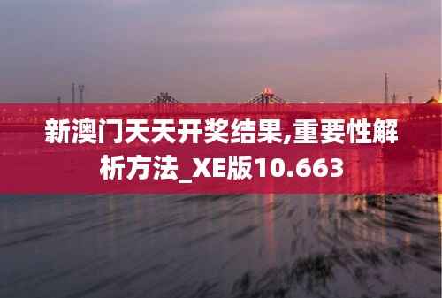 新澳门天天开奖结果,重要性解析方法_XE版10.663