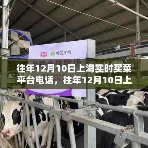 省吃细用 第3页