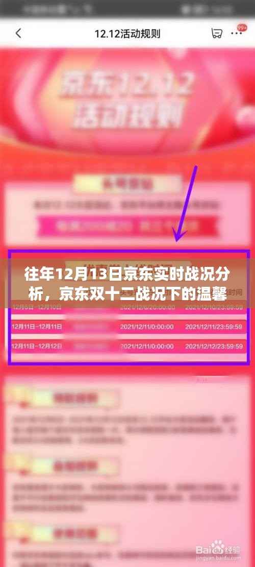 双十二京东战况下的温馨日常,陪伴与趣事回顾