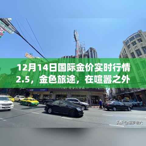 生张熟魏 第4页