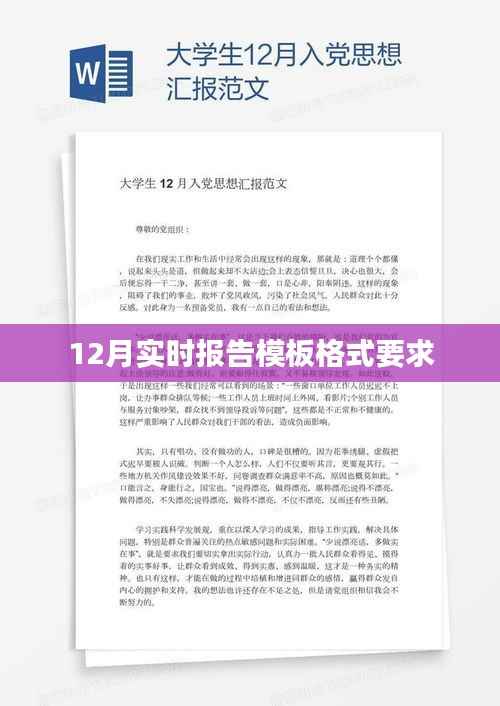 12月实时报告模板格式详解