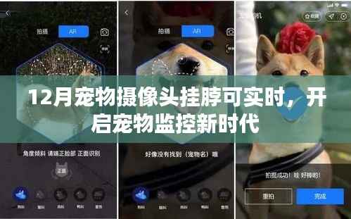 宠物摄像头挂脖实时监控,守护爱宠新时代