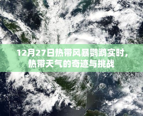 热带风暴鹦鹉最新动态,奇迹与挑战并存