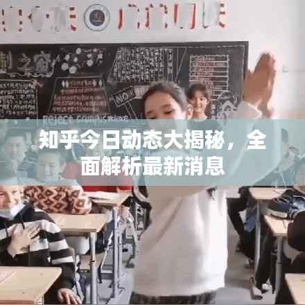 知乎今日动态大揭秘,全面解析最新消息