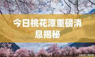 今日桃花潭重磅消息揭秘