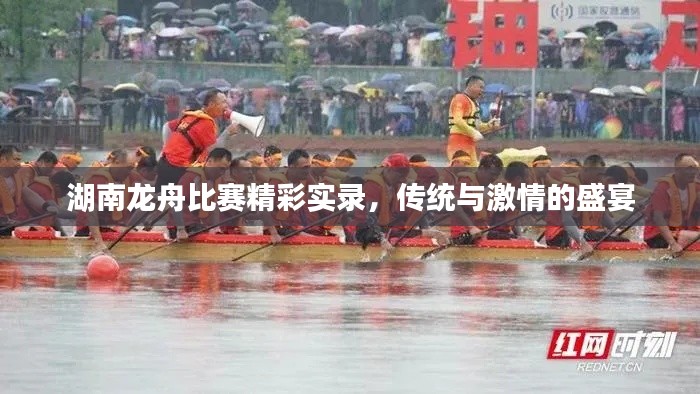 湖南龙舟比赛精彩实录,传统与激情的盛宴
