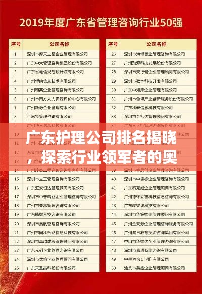 广东护理公司排名揭晓,探索行业领军者的奥秘!