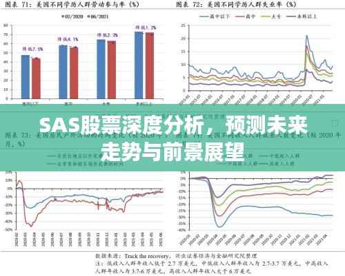 SAS股票深度分析,预测未来走势与前景展望