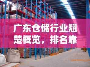 广东仓储行业翘楚概览,排名靠前的仓储公司大揭秘