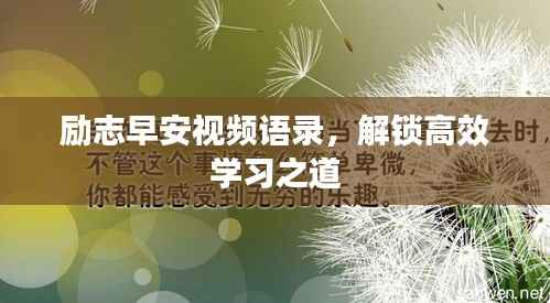 励志早安视频语录,解锁高效学习之道