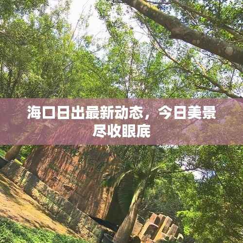 海口日出最新动态,今日美景尽收眼底