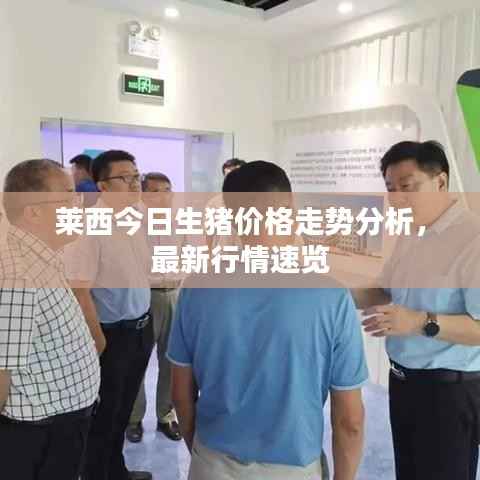 莱西今日生猪价格走势分析,最新行情速览