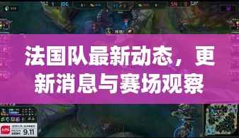 法国队最新动态,更新消息与赛场观察