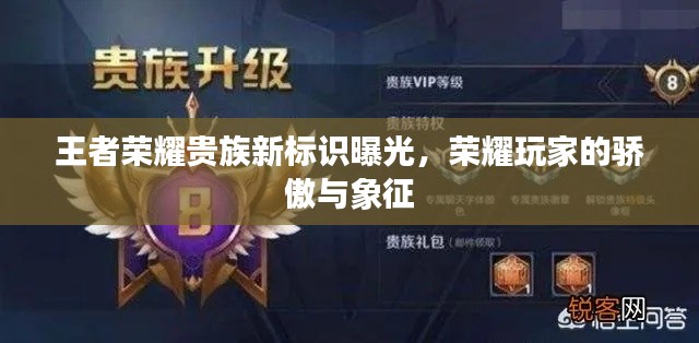 王者荣耀贵族新标识曝光,荣耀玩家的骄傲与象征