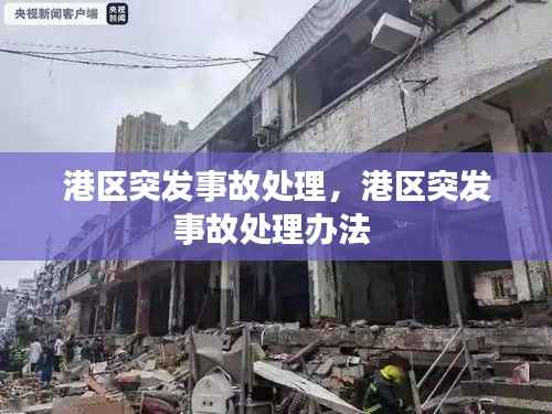 港区突发事故处理，港区突发事故处理办法 