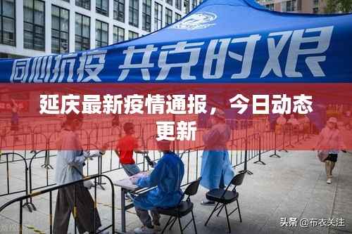 延庆最新疫情通报,今日动态更新