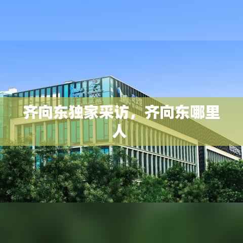 齐向东独家采访,齐向东哪里人