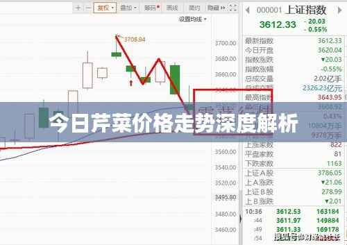 今日芹菜价格走势深度解析