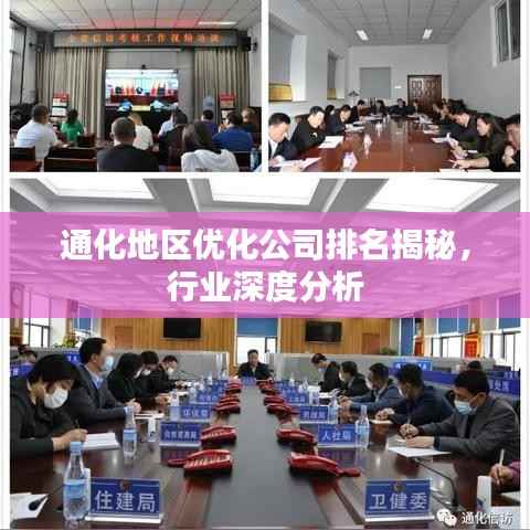 通化地区优化公司排名揭秘,行业深度分析